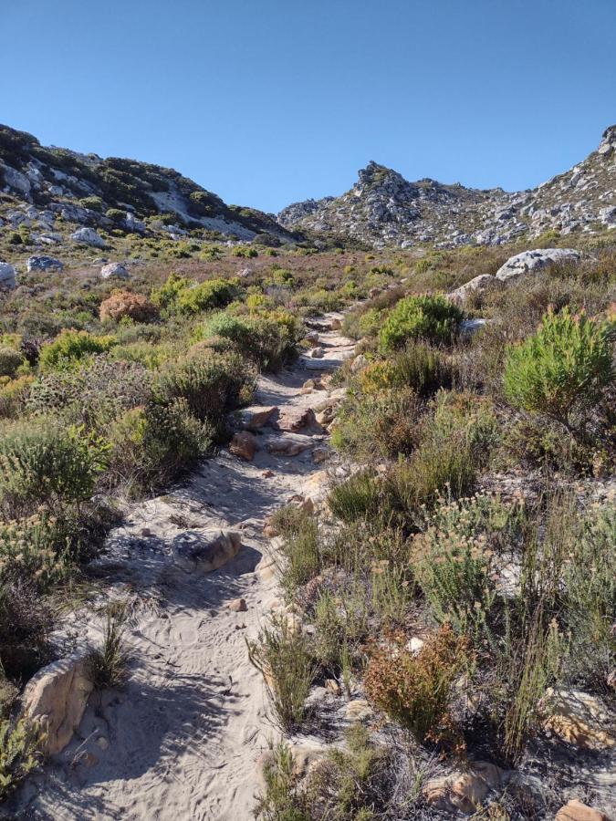 Lark House, Peaceful Mountain Home With Ocean Views And Power Backup Cape Town Eksteriør bilde
