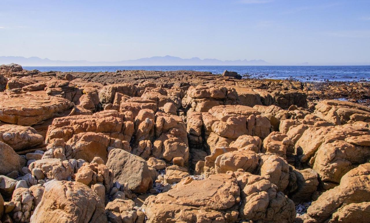 Lark House, Peaceful Mountain Home With Ocean Views And Power Backup Cape Town Eksteriør bilde